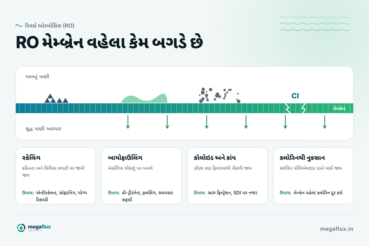 RO મેમ્બ્રેનનો આડો છેદ, જેમાં આવતા પાણીની બાજુએ ચાર જોખમ દેખાય છે: સ્કેલના સ્ફટિક, બાયોફિલ્મ, કોલોઇડ અને કાંપ, અને ક્લોરિનથી નુકસાન, દરેકના ઉપાય સાથે.